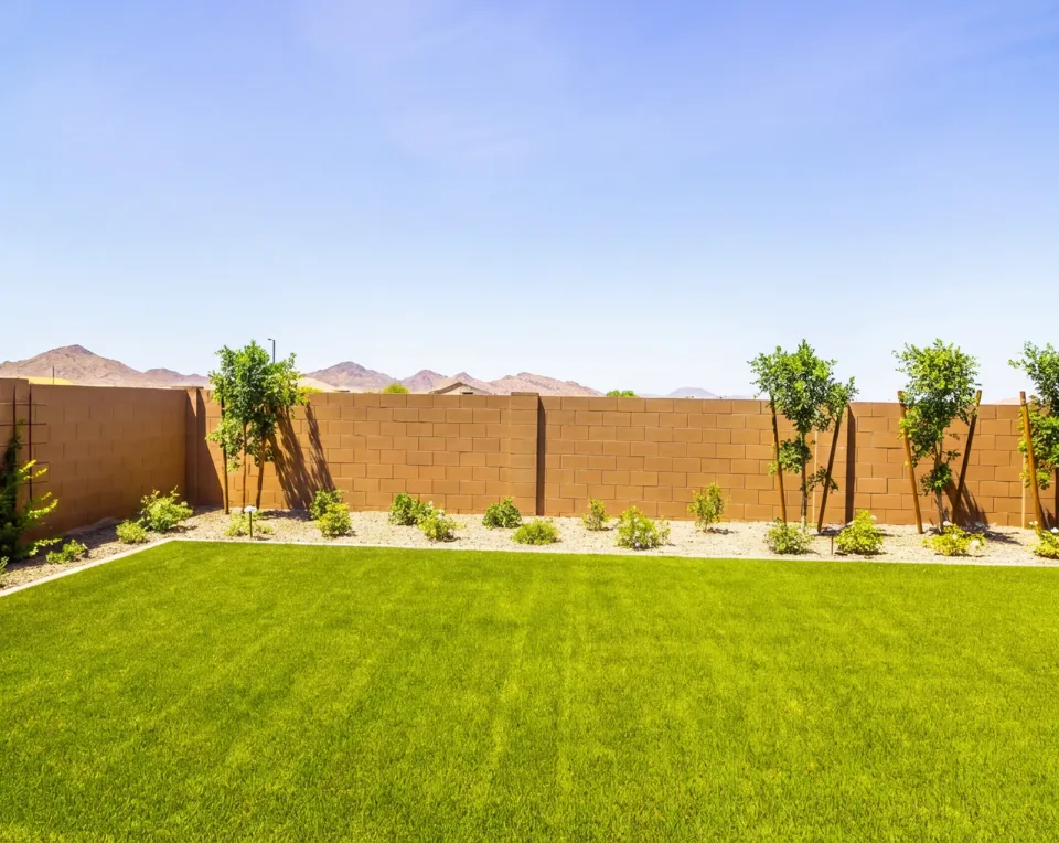 Backyard before paver patio installation in Los Angeles with unfinished surface and minimal functionality